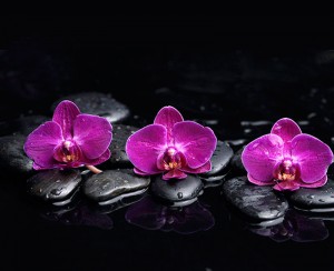 Fotooboi Cvety (137)